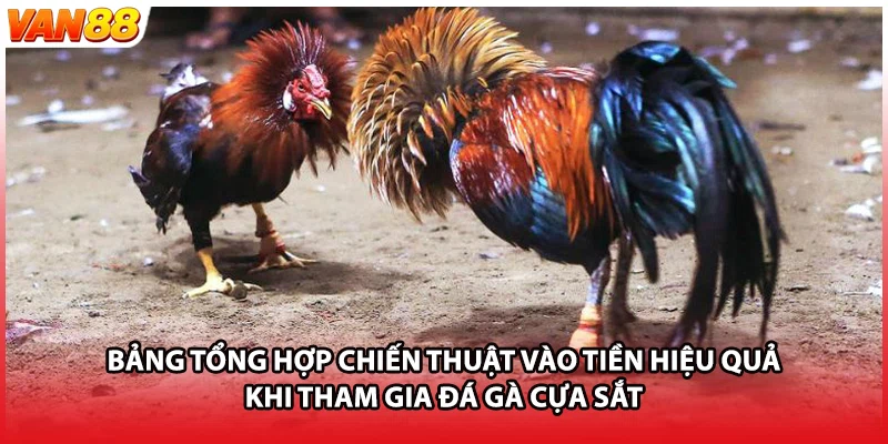 Bảng tổng hợp chiến thuật vào tiền hiệu quả khi tham gia đá gà cựa sắt