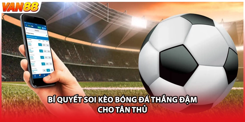 Bí quyết soi kèo bóng đá thắng đậm cho tân thủ