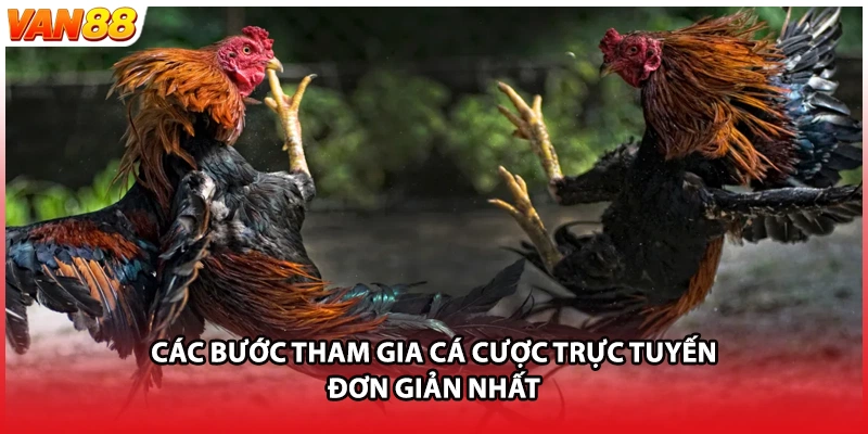 Các bước tham gia cá cược trực tuyến đơn giản nhất