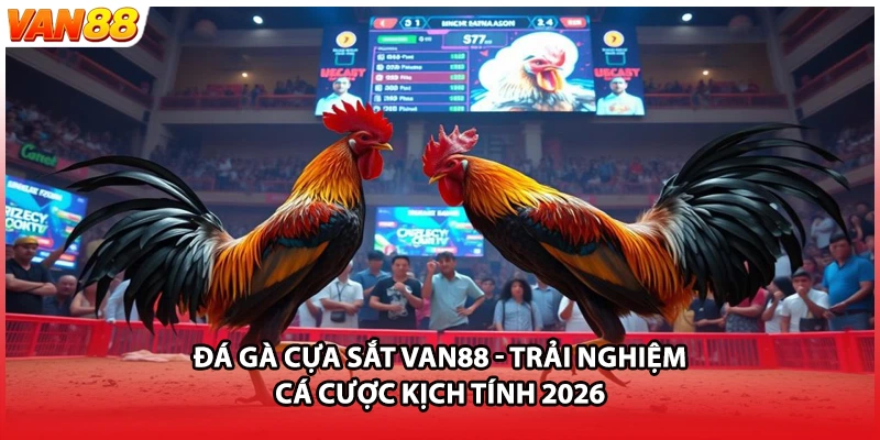 Đá Gà Cựa Sắt VAN88 - Trải Nghiệm Cá Cược Kịch Tính 2026